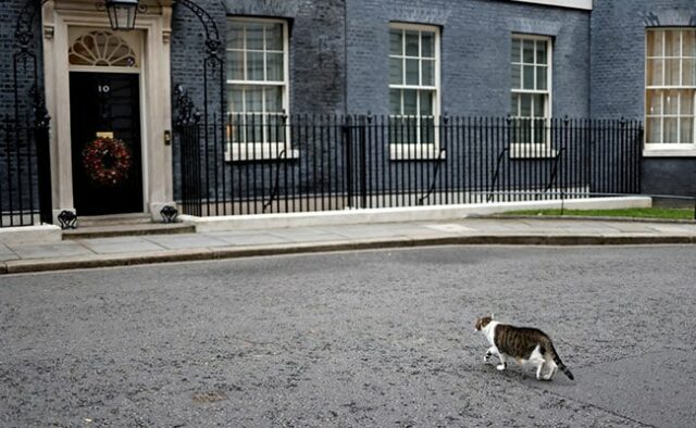 O que Larry, o gato de 10 Downing Street, disse sobre o novo gatinho de Keir Starmer