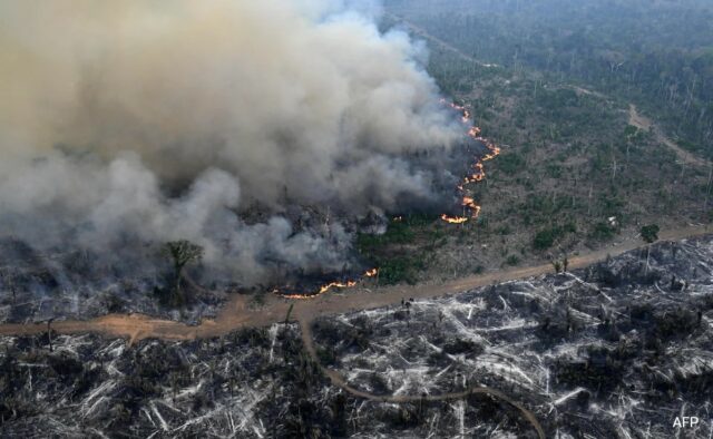 A Floresta Amazônica perdeu uma área do tamanho da Alemanha e da França devido ao desmatamento