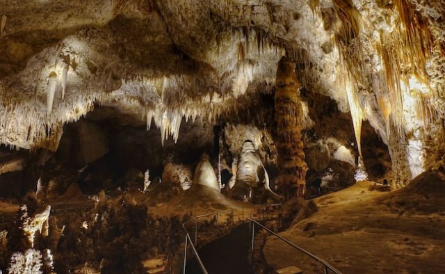 Como um saco de Cheetos desencadeou o caos em um frágil ecossistema de cavernas nos EUA