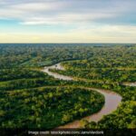 “Nossos territórios não estão à venda”: ​​grupos indígenas no Brasil sobre créditos de carbono