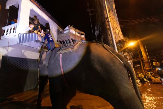 Um elefante atravessa as águas da enchente para levar alívio às pessoas presas nos andares superiores de suas casas. É noite