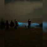 Multidões se aglomeram nas praias do sul da Califórnia para testemunhar ondas bioluminescentes