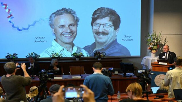 Pesquisadores americanos ganham Prêmio Nobel de medicina pela descoberta de microRNA