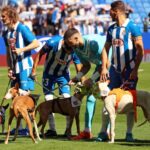 Crédito obrigatório: Foto de Urbanandsport/NurPhoto/Shutterstock (14760347n) Antes do início da partida contra o RCD Mallorca, os jogadores do RCD Espanyol entram em campo com onze cães para promover a adoção e conscientizar sobre o abandono de animais em Barcelona, ​​na Espanha, em outubro 5 de outubro de 2024. RCD Espanyol x RCD Mallorca - LaLiga EA Sports, Barcelona, ​​Espanha - 05 de outubro de 2024