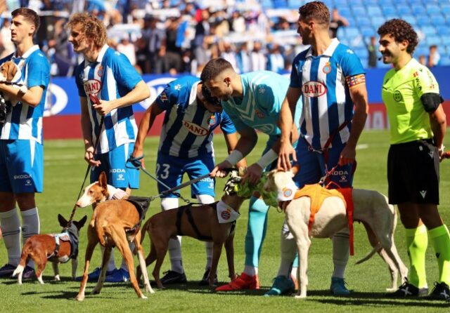 Crédito obrigatório: Foto de Urbanandsport/NurPhoto/Shutterstock (14760347n) Antes do início da partida contra o RCD Mallorca, os jogadores do RCD Espanyol entram em campo com onze cães para promover a adoção e conscientizar sobre o abandono de animais em Barcelona, ​​na Espanha, em outubro 5 de outubro de 2024. RCD Espanyol x RCD Mallorca - LaLiga EA Sports, Barcelona, ​​Espanha - 05 de outubro de 2024