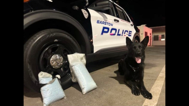 Um policial K9 ajudou a descobrir aproximadamente 86 mil pílulas ilegais de fentanil dentro do veículo de um suspeito no condado de San Bernardino. (Departamento de Polícia de Barstow)