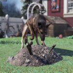 Por que os próximos cães e gatos do Fallout 76 merecem ser soltos da coleira