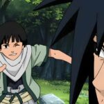 Naruto: Relacionamento Hashirama e Madaras: Uma História Trágica de Irmandade