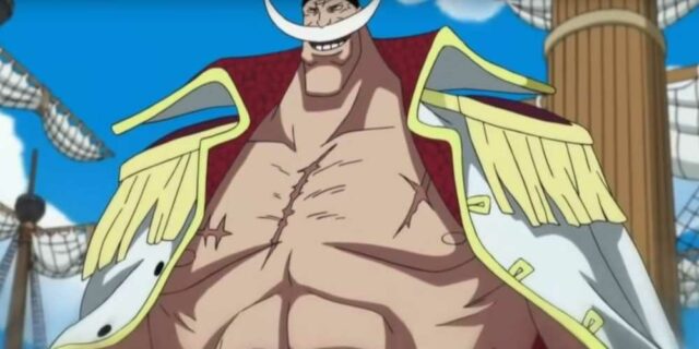 One Piece: personagens que não desejavam se tornar o rei dos piratas