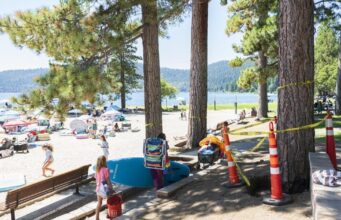 Um mistério de assassinato em Lake Tahoe: quem está envenenando pinheiros imponentes? A Lake Tahoe murder mystery: Who is poisoning towering pine trees?